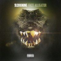 Face Alligator_9lokknine