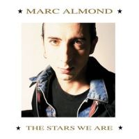 Something's Gotten Hold of My Heart_Marc Almond,Gene Pitney