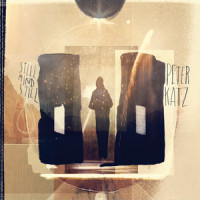 It's Just The Night_Peter Katz