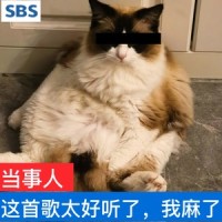 蛋糕_张驰同学