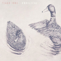 Unordinary Gold_Tiago Iorc