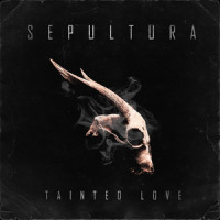 Tainted Love_Sepultura,Ed Cobb