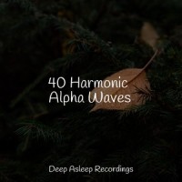 Bayou at Dusk_Rain for Deep Sleep,Spa,Relaxing Music Therapy