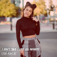 I Don't Think I Love You Anymore_Alaina Castillo