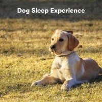 The Expanse_Sleepy Dogs,Music for Calming Dogs,Music for Leaving Dogs Home Alone