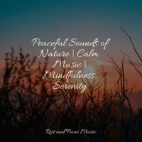 Birds Calling_Música para Relaxar Maestro,Chillout Lounge,Spa