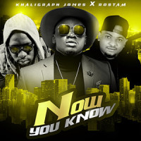 Now You Know_Rostam,Khaligraph Jones