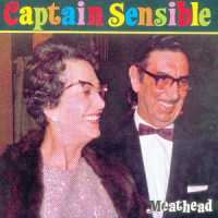 Rough Justice_Captain Sensible