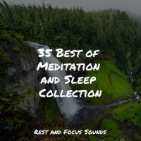 Visions of Peace_Sleep Sounds of Nature,Oasis de Détente et Relaxation,Sleepy Times