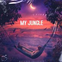 My jungle (feat. BOWKYLION & BOA)_Murrdarxh,BOWKYLION,BOA