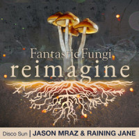 Disco Sun_Jason Mraz,Raining Jane