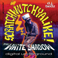 The Dflo Shuttle_Digital Underground