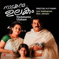 Vanamaali Ninnodakkuzhalil_Johnson,K.S. Chithra,Vijay Yesudas