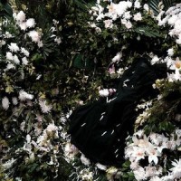 안녕, 미안, 안녕 Hi, Sorry, Bye_Julia Hart