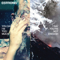 Killing Your Love_Estrons