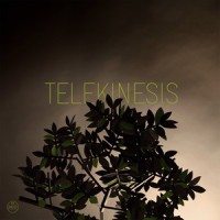 Game Of Pricks_Telekinesis,Chris Walla