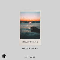 Silver Lining_Wallaby,Ellie May