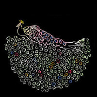 Boy with a Coin_Iron & Wine