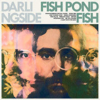 February/Stars_Darlingside,Donald Mitchell,Auyon Mukharji,Harris Paseltiner,David Senft