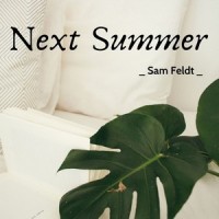 Next Summer_Sam Feldt