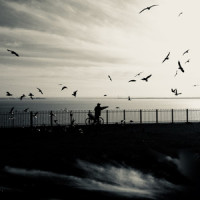 It's All I Am_Jim Jam,James Newman