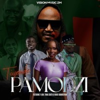 Tiyende Pamodzi (feat. T-Low, Trina South & Brave Nomorepain)_Vision Music ZM,T-Low,Trina South,Brave Nomorepain