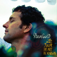 There Is a Light_Steve Gold