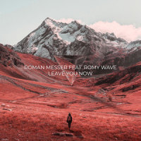 Leave You Now_Roman Messer,Romy Wave