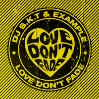 Love Don't Fade_DJ S.K.T,Example