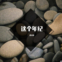 这个年级_洛天依