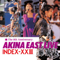 Southern Wind_中森明菜