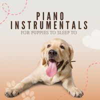 Piano pets_Piano Peace,Pet Music Therapy,Pets Love Music