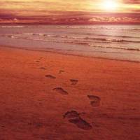 Footprints_FM Attack,Jasper de Ceuster