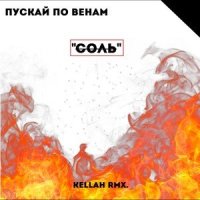 Пускай по венам соль_Ramil'