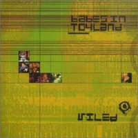 Sometimes_Babes In Toyland