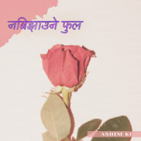 Nabijhaune Phool_Ashim Kc,Kamal Khatri