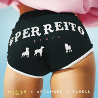 Perreito_Mariah Angeliq,Arcangel,Darell