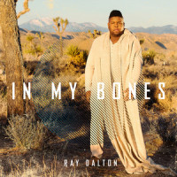 In My Bones_Ray Dalton,Malik Montana