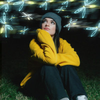 Fireflies_Sara Kays