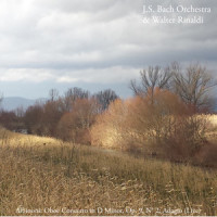Albinoni - Oboe Concerto in D Minor, Op. 9, No. 2: Adagio_Johann Sebastian Bach,Walter Rinaldi