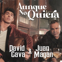 Aunque No Quiera_David Cava,Juan Magan