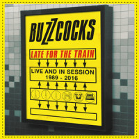 Flatpack Philosophy_Buzzcocks