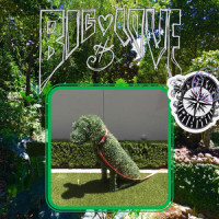 Big Love_My Encore,Lindsey Buckingham