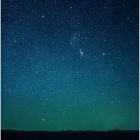 Fantasy Forest_Sounds of Nature White Noise for Mindfulness Meditation and Relaxation,Ayurveda,SPA Music