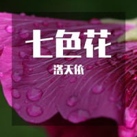 七色花_洛天依