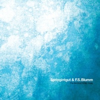 Zeitgeschwindigkeit_Springintgut,F.S. Blumm