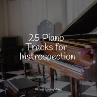 Amazing Splendor_Pianoramix,Gentle Piano Music,Piano Pianissimo