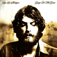 Winter Birds_Ray LaMontagne