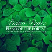 Late Night Rain_Piano Peace