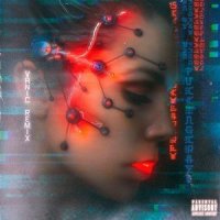 ****ing Crazy_Vanic,Skylar Grey